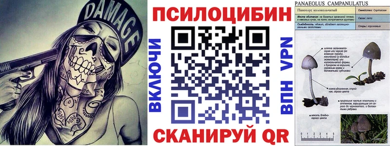 где продают   Бугуруслан  kraken как зайти  Галлюциногенные грибы прущие грибы 